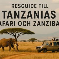 Reseguide till Tanzanias safari och Zanzibar