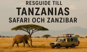 Reseguide till Tanzanias safari och Zanzibar